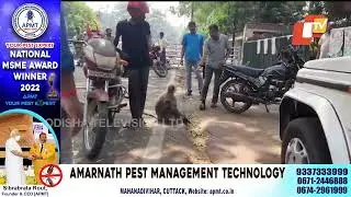 Bhubaneswar locals feed monkey amid intense heat wave conditions