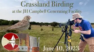 Grassland Birding at the JH Campbell Generating Facility