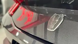 *New* Ford Mustang Dark Horse! | First Wash | First Impressions