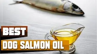 Salmon Oil For Dog : You Should Try at least Once!