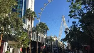 Las Vegas Trip