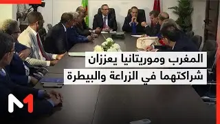 المغرب وموريتانيا يوقعان اتفاقيتين لتعزيز التعاون في الزراعة والبيطرة