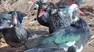 Узингизни алдаманг . Сиз энг яхши хаётга лойиксиз . Максад куйинг ва албатта эришасиз. Сабир токат 😎