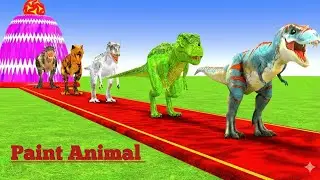 Paint Animals Cow Cartoon