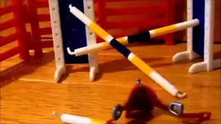 (Breyer Stablemate Music Video) Picture To Burn