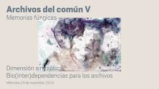 Dimensión simbiótica. Bio(inter)dependencias para los archivos / Archivos del común V. Memorias ...