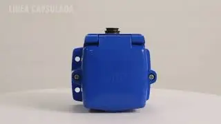 C811 - L&iacute;nea Capsulada