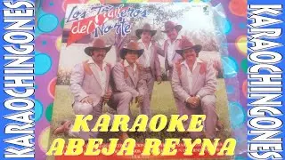KARAOKE - Los Traileros Del Norte - Abeja Reina
