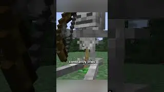 skeleton riding turtle