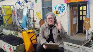 The Garden at Rumpus Room