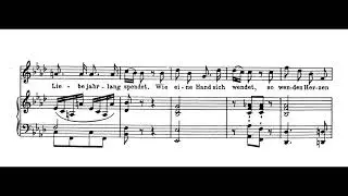 Das Lied der Trennung (W.A. Mozart) Score Animation