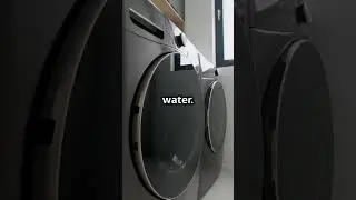 Front Load vs Top Load: Which Washer Wins?