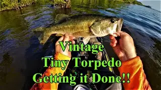 Tiny Torpedo Topwater bait Getting it Done!!