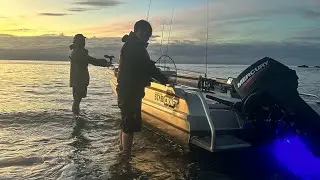 Mussel farm Thames fishing New Zealand