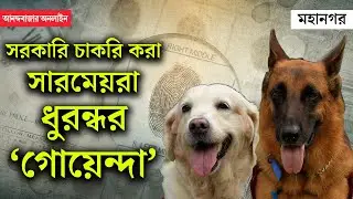 Kolkata Police Dog Squad। পুলিশ-কুকুরদের অন্দরমহল