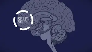 Science Says: Why Are Opioids so Addictive?