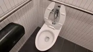American Museum of Natural History toilets 