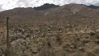Bighorn Fire: One year later
