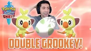 IS IT HIDDEN ABILITY?? Grassy Surge Rillaboom Shiny Reaction! Shiny #109 and 110 Pokemon Shield