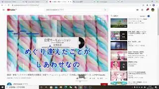 renai circulation+melt covered by circu1ation