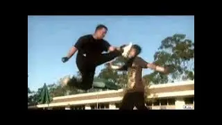 THE MARTIAL ARTS STORY (KARATE MAN)