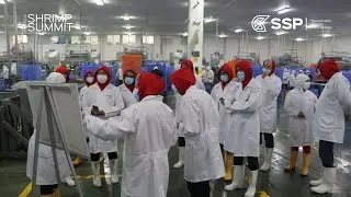 Shrimp Summit Ecuador 2023 | Visit to Promarisco's Processing Plant