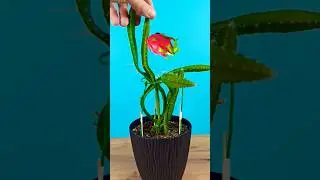 Посадил драгон фрукт и вот что выросло через 6 месяцев! #dragonfruit