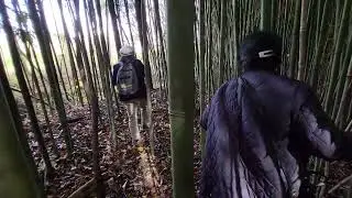 Moob Haav Xyoob