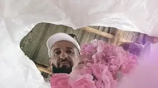 أفضل طريقة للاستفادة من التطيب ب الورد