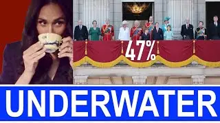 MEGHAN'S SUSSEX NEW PRODUCTS - ROYAL FAMILY UNDERWATER POPULARITY 47%