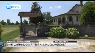 TG TREVISO (04/07/2017) - SPARI CONTRO I LADRI: “ATTENTI AL CANE, E AL PADRONE...”