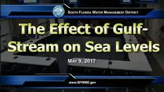 Gulf Stream Effects on Sea Levels on the US East Coast
