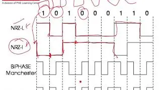 GATE CSE CN - Signal Impairment, Wireless Transmission, Multiplexing, Topology, Frame Transmission