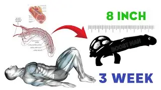 Male Kegel Exercise That Adds 7 Inches - Rock Hard Results Men Are Hiding From You (Real Method)