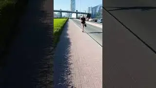 Dubai pichtr