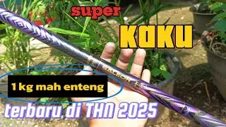 TERBARU ‼️SUPER KAKU‼️tegek GALEON