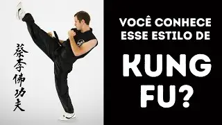 Um dos mais impressionantes estilos de Kung Fu