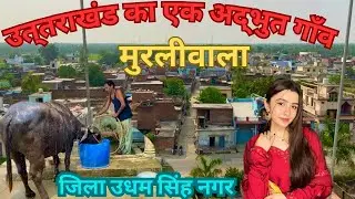 Last Village Of Uttrakhand | Murliwala Village Vlog | History of Udham Singh Nagar |@Nomadicbirduk07