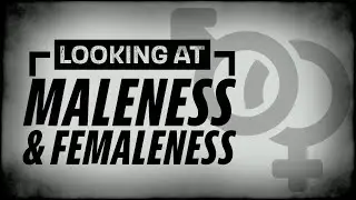 Looking At Maleness & Femaleness 2