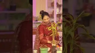 ফেলে দেয়া জিনিসও এভাবে কাজে লাগানো যায়!! 🌸