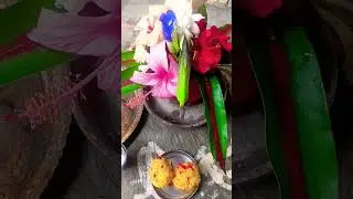 ajke amader bodhon g aaj ke Amar maa Durga bodhan courthot