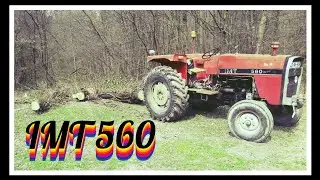 IMT 560 u Šumi~Drvo na Putu~Ništa Bez Blokade Diferencijala