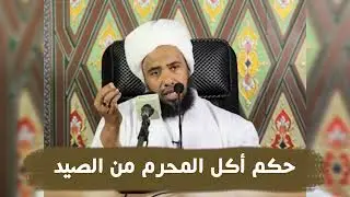 حكم أكل المحرم من الصيد .. د. عبدالحي يوسف