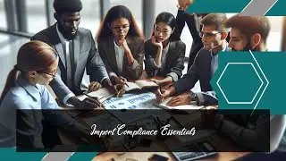 Key Insights for Import Compliance