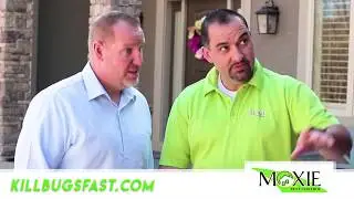 'Kill Bugs Fast' | Moxie Pest Control