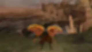 Moon Butterfly Set: How It Change Jump Mechanics