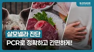 살모넬라 진단, PCR로 정확하고 간편하게! - AccuPower&reg; Salmonella spp. 4-Plex PCR Kit