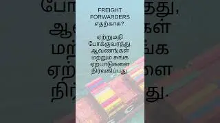 Export Import Consultant