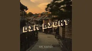 Dim Light