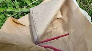 plapla mga parekoi